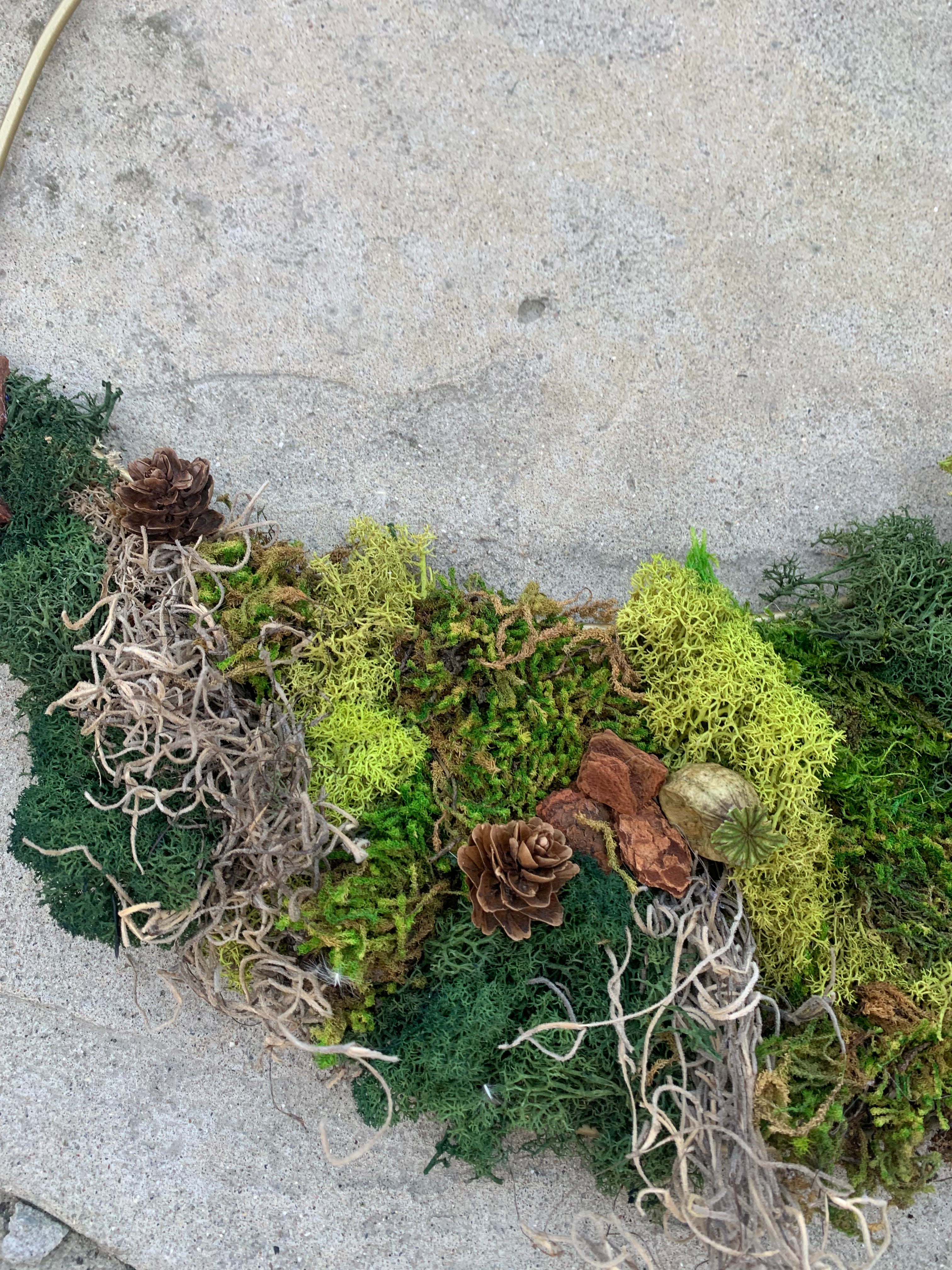 Moss Wreath